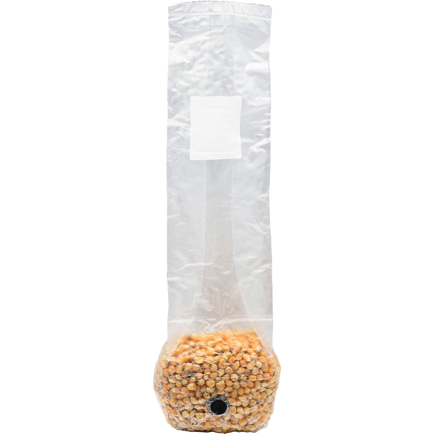 Popcorn Mushroom Substrate Grain Bag 1lb