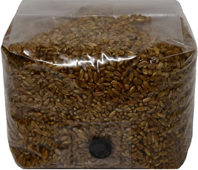 Rye Berry Mushroom Substrate with Self Healing Injection Port 3 lb Bag