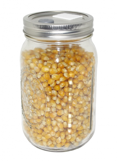 Quart Jar of Sterilized Popcorn  Mushroom Substrate
