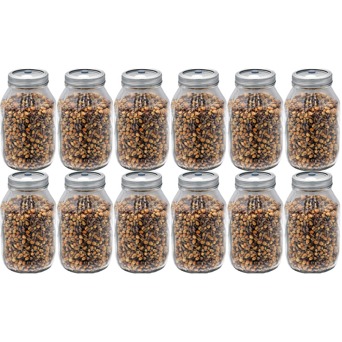 12 quart jars of multi grain mushroom substrate