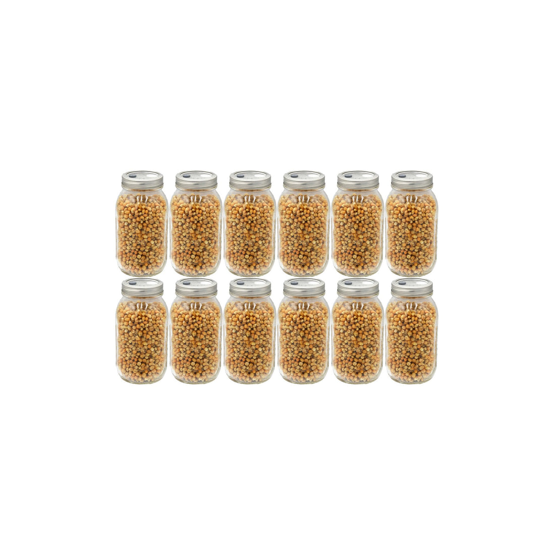 12 quart jars of popcorn mushroom substrate