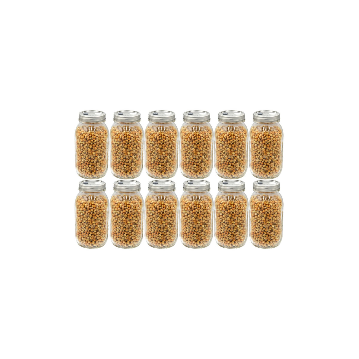How to Use Popcorn Mushroom Substrate Jars - 12-Pack | Mushroom Guide