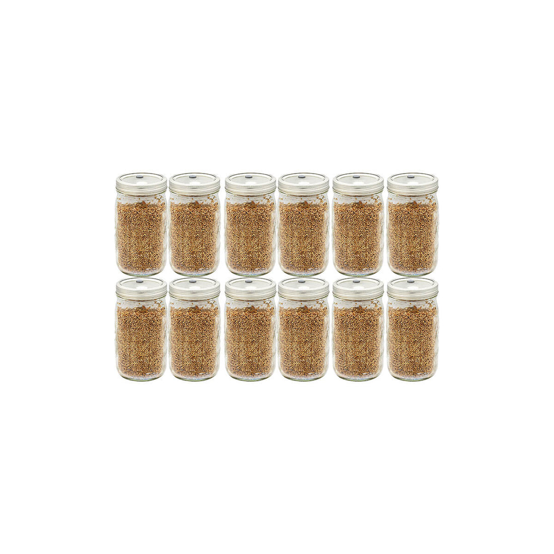 12 quart jars of white millet mushroom substrate