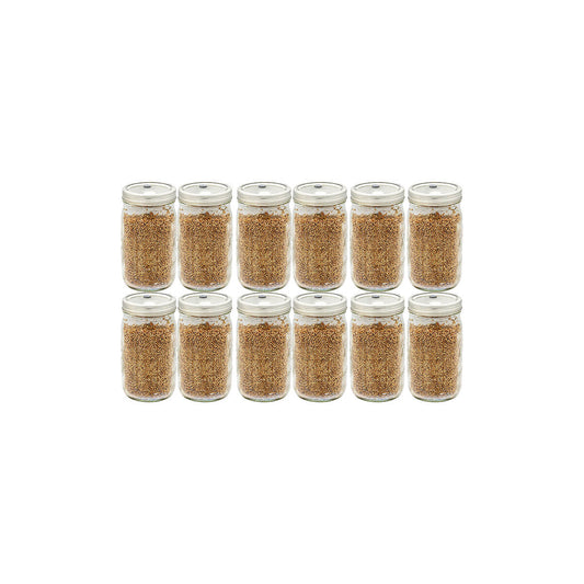12 quart jars of white millet mushroom substrate