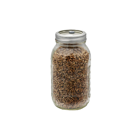 1 quart jar of rye berry mushroom substrate