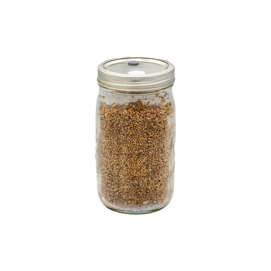 1 quart jar of white millet mushroom substrate