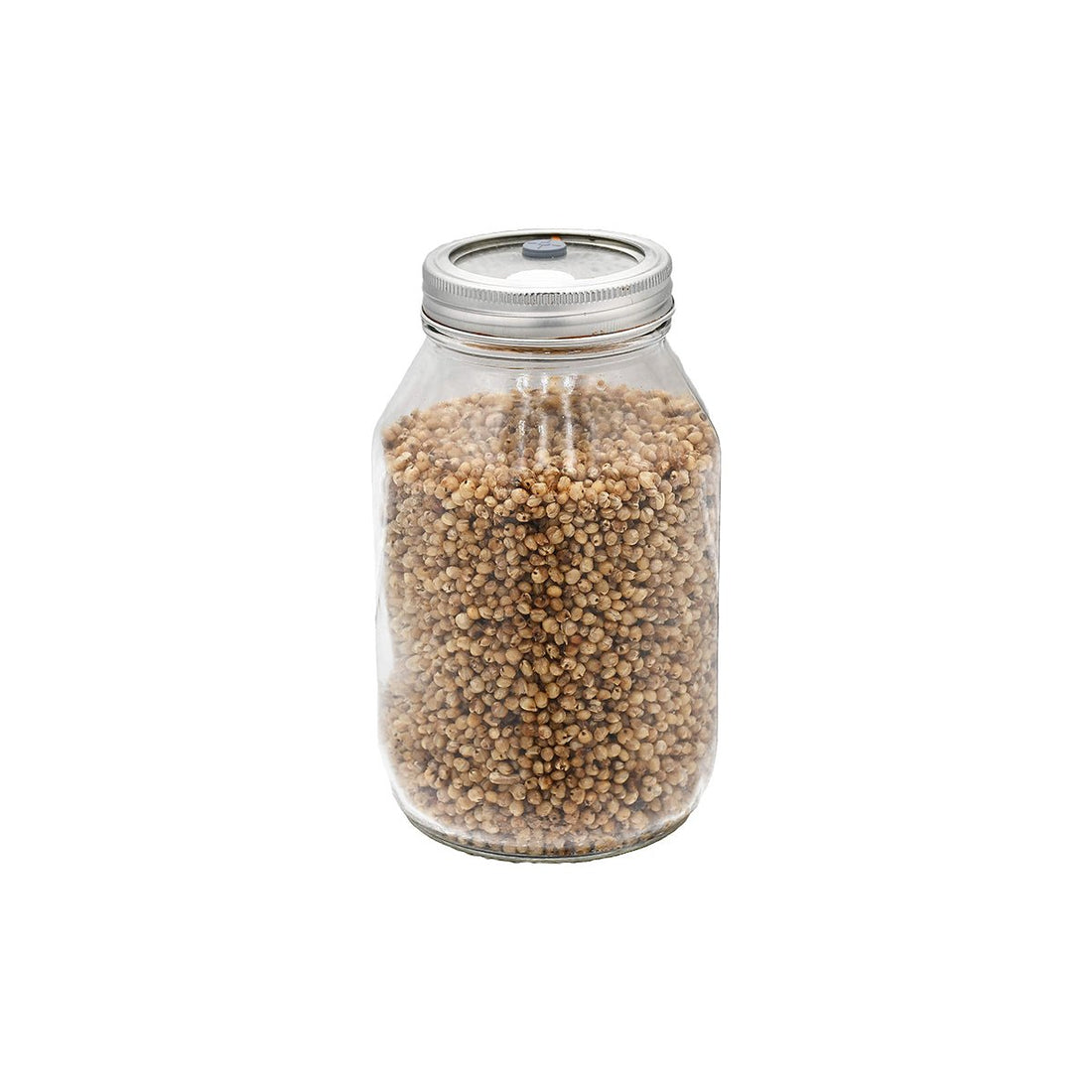 1 quart jar of white milo mushroom substrate