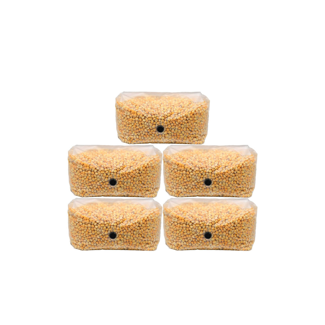 25 pounds of popcorn mushroom substrate