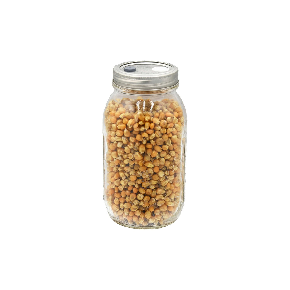 How to Use Popcorn Mushroom Substrate Jar - 1qt | Mushroom Guide