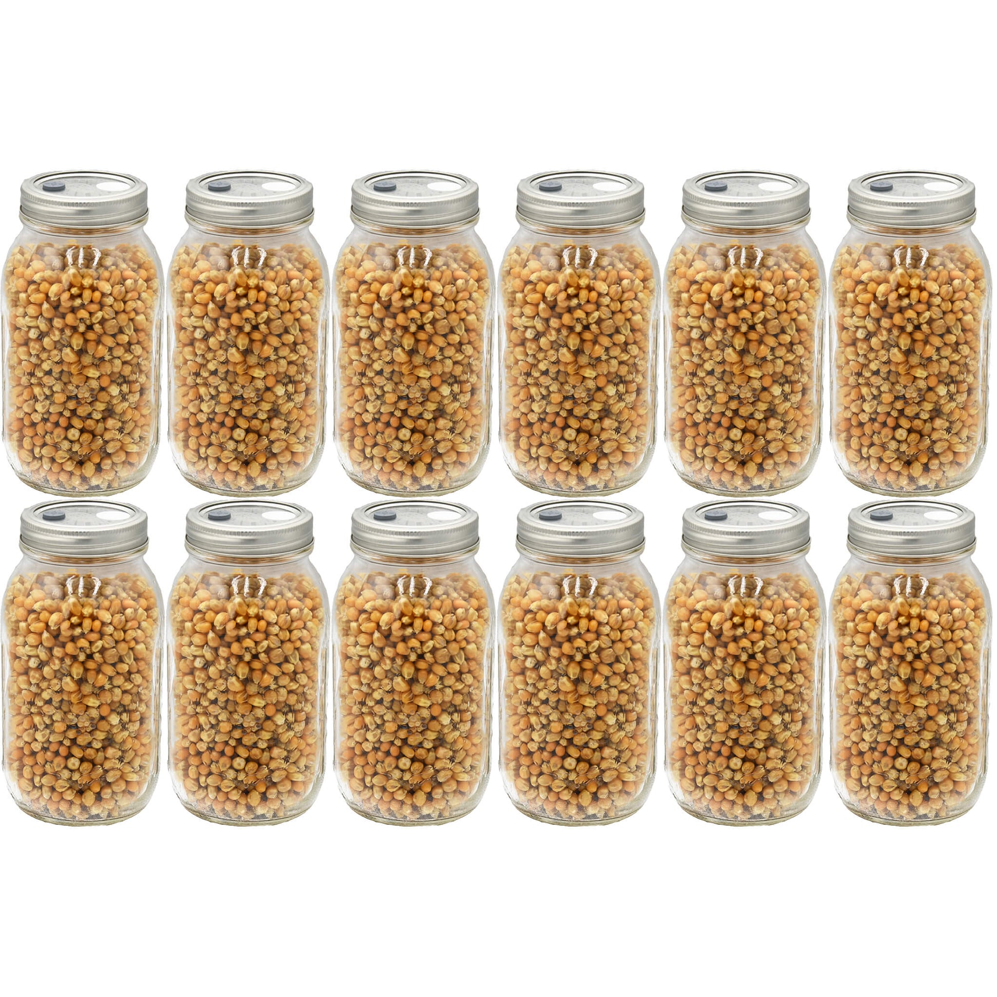 12 quart jars filled with popcorn mushroom substrate