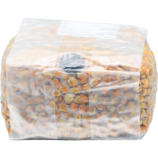 Popcorn Mushroom Substrate Grain Bag 1lb
