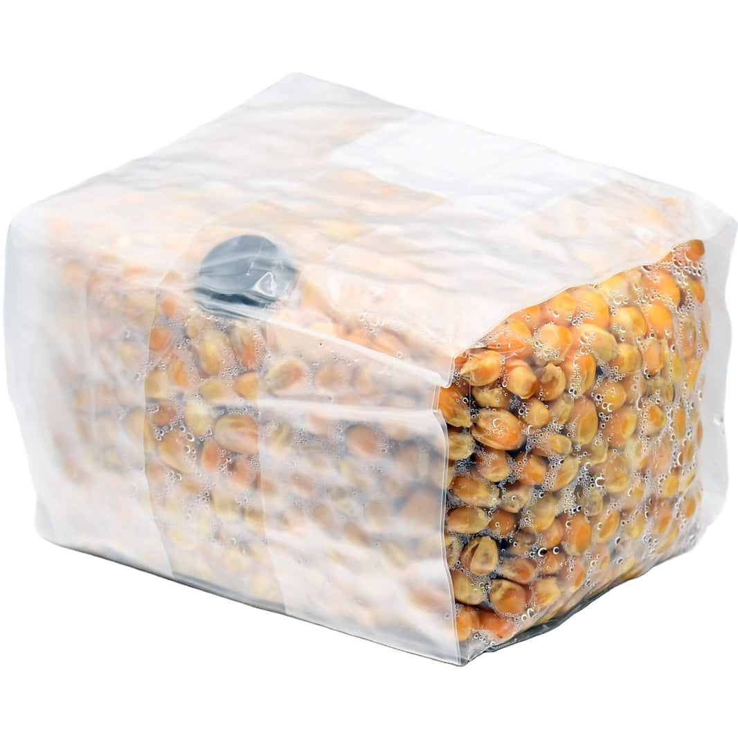 Grain Bags | Ready For Inoculation – Mushroom Substrate