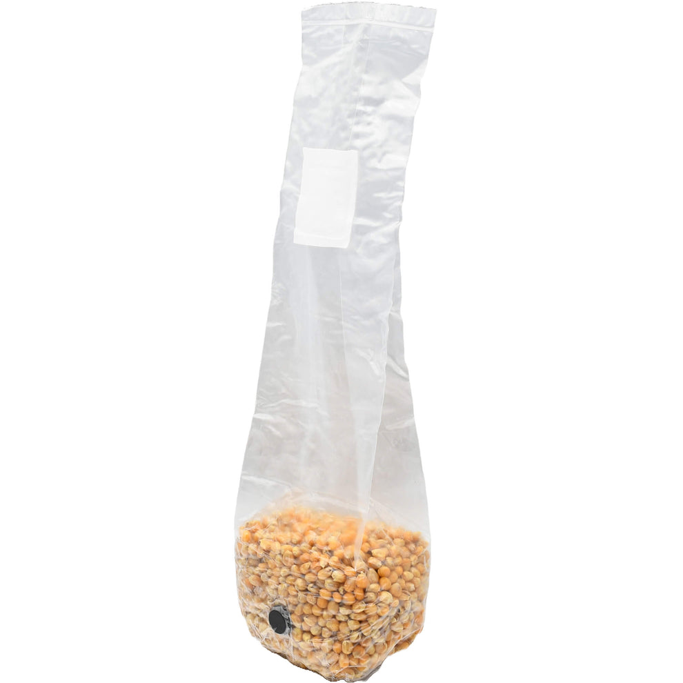 Popcorn Grain Bag 1lb | Sterilized Mushroom Spawn – Mushroom Substrate