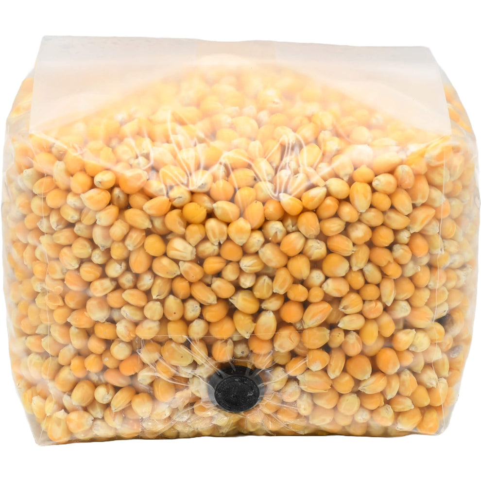 Popcorn Mushroom Substrate Grain Bag 3lb
