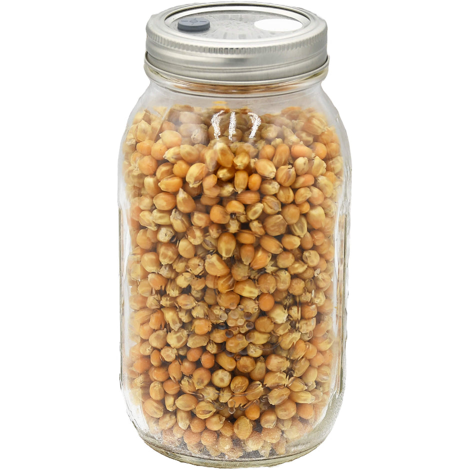 Sterilized Grain Jars - Quart Jars, Ready to Inoculate – Mushroom Substrate