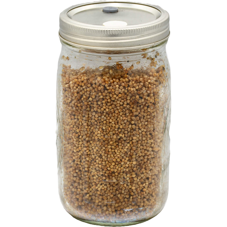 Sterilized Grain Jars - Quart Jars, Ready to Inoculate – Mushroom Substrate