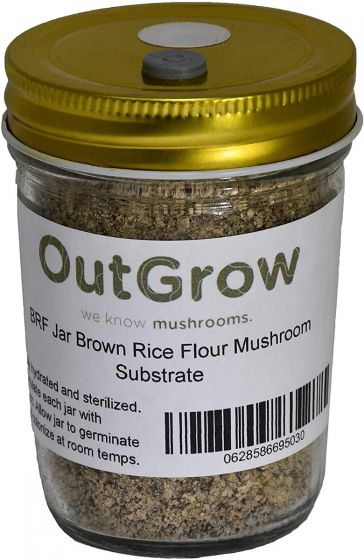 BRF JARS Brown Rice Flour Based Mushroom Substrate