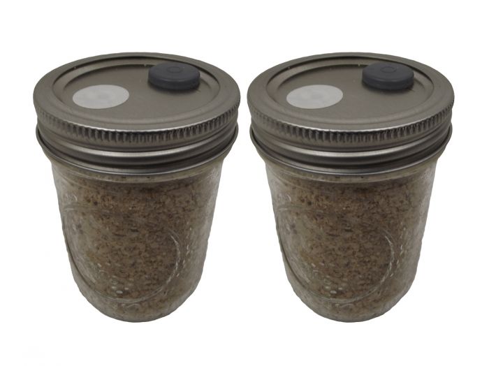 BRF JARS ™ Brown Rice Flour Based Mushroom Substrate 2 Pack