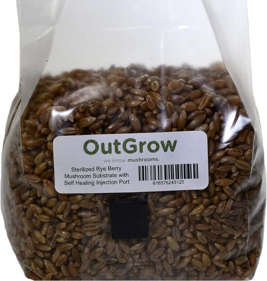 Rye Berry Mushroom Substrate with Self Healing Injection Port 3lb Bag