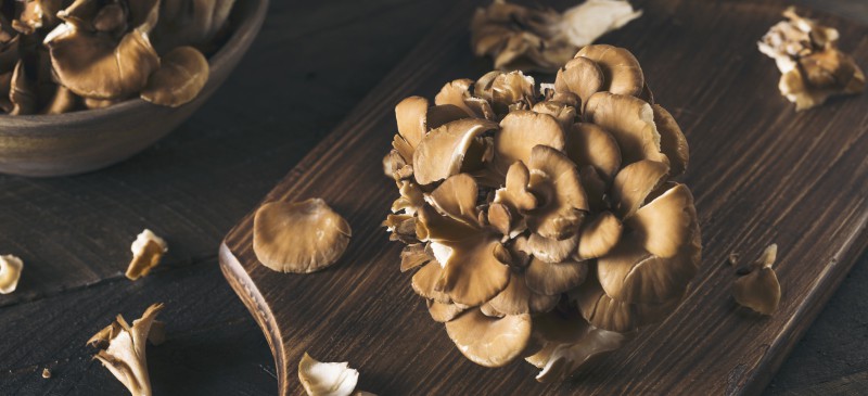 Cooking Maitake Mushrooms Properly Step by Step
